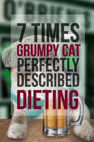Grumpy Cat Diet